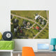 Aerial Neighborhood Wall Decal