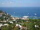 Capri Wall Decal Design 1