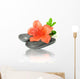 Zen Spa Pebble with