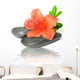 Zen Spa Pebble with
