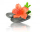 Zen Spa Pebble with