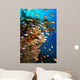 Underwater Coral Reef Wall Decal