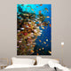 Underwater Coral Reef Wall Decal