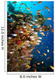 Underwater Coral Reef Wall Decal