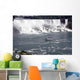 niagra falls Wall Mural