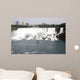 niagra falls canada Wall Mural