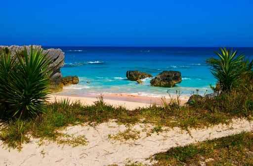 Remote Tropical Beach Sunny Wall Decal