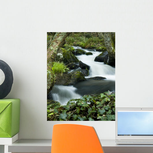 Smooth Water Stream Wall Decal