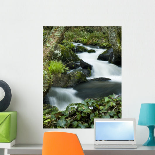 Smooth Water Stream Wall Decal