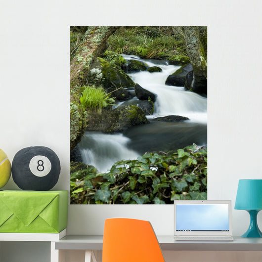 Smooth Water Stream Wall Decal