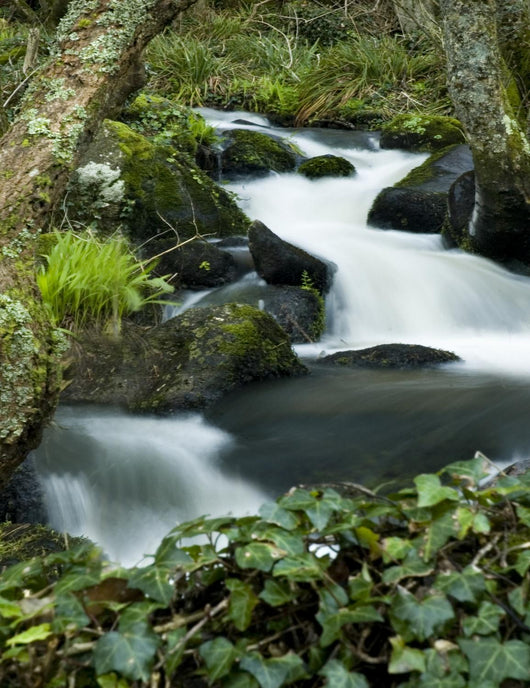 Smooth Water Stream Wall Decal