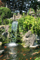 Waterfall and Koi pond in an Asian garden Wall Mural