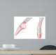 Ballet Shoes Wall Decal