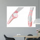 Ballet Shoes Wall Decal