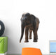Wild Animal Elephant Wall Decal