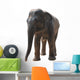 Wild Animal Elephant Wall Decal