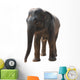 Wild Animal Elephant Wall Decal