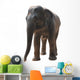 Wild Animal Elephant Wall Decal