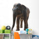 Wild Animal Elephant Wall Decal