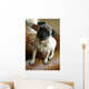 Listening Pug Wall Mural