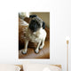 Listening Pug Wall Mural