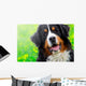 Bernese Mountain Dog Portrait Wall Mural
