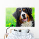 Bernese Mountain Dog Portrait Wall Mural