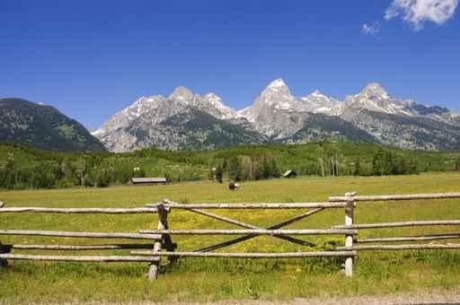 Pastoral Scene Ranch Base Wall Decal