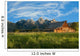 Old Mormon Barn Tetons