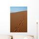 Footsteps Sahara Desert Wall Decal