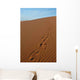 Footsteps Sahara Desert Wall Decal