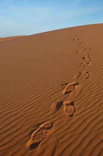 Footsteps Sahara Desert Wall Decal