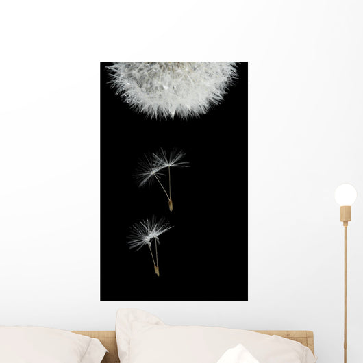 Flying Seeds Blossoming Dandelion Wall Decal