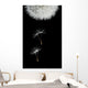 Flying Seeds Blossoming Dandelion Wall Decal