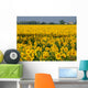 Girasoli Wall Mural