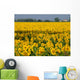 Girasoli Wall Mural