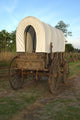 Replica Wagon on Oregon Trail Wall Mural