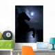 Horse Legs Night Sky