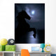 Horse Legs Night Sky