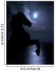 Horse Legs Night Sky