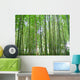 Bamboo Wall Decal