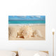 Sea Shells Starfish Tropical Sand Turquoise Caribbean Wall Mural