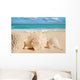 Sea Shells Starfish Tropical Sand Turquoise Caribbean Wall Mural
