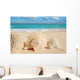 Sea Shells Starfish Tropical Sand Turquoise Caribbean Wall Mural