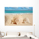 Sea Shells Starfish Tropical Sand Turquoise Caribbean Wall Mural