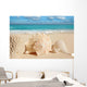 Sea Shells Starfish Tropical Sand Turquoise Caribbean Wall Mural
