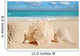 Sea Shells Starfish Tropical Sand Turquoise Caribbean Wall Mural