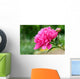 Pink peony flower Wall Mural