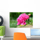 Pink peony flower Wall Mural