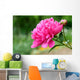 Pink peony flower Wall Mural